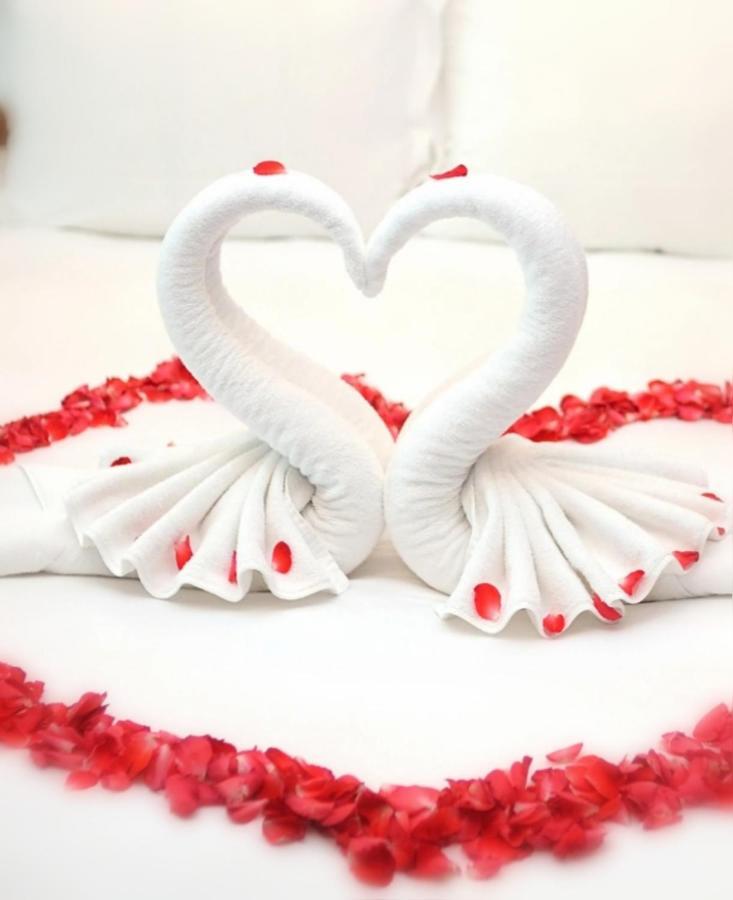 Bed and Breakfast Jacuzzi Massage Sur Rdv,Duo,Reiki,Californien, Reflexologie Plantaire, Et Bouteille Mousseux Offerte Ferolles Exterior foto